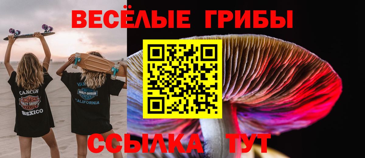 Галлюциногенные грибы ЛСД Кимовск